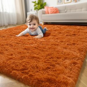 Plush Orange Shag Rug